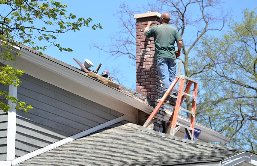 Chimney & Fireplace Inspections Services in Longview, TX